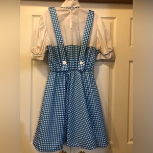 Adult Dorothy Wizard of Oz Costume.  One Size!